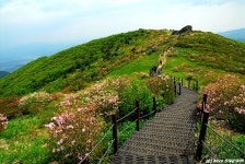 여행기 - 소백산 국망봉