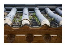 여행기 - 교종본찰 봉선사