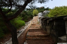 여행기 - 서울 성곽 길 답사 1/4 (인왕산-창의문 3.5Km)