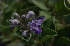 여행기 - 서해안출사 2편입니다.