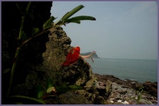 여행기 - 서해안출사 2편입니다.