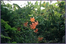 여행기 - 서해안출사 2편입니다.