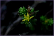 여행기 - 서해안출사 2편입니다.