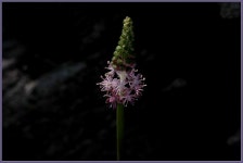 여행기 - 서해안출사 2편입니다.