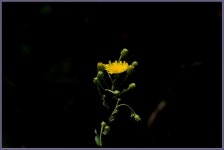 여행기 - 서해안출사 2편입니다.