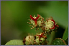 여행기 - 서해안출사 2편입니다.