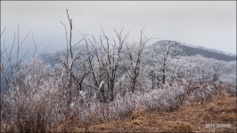여행기 - 연인산 - 가을 속으로