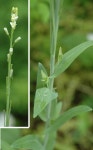 묻고답하기 - [뒷산] 탐방에서 (완주)