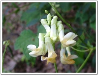 묻고답하기 - 이거 예전에 알았는데...생각이 안나네요?