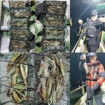 화살촉! 여기저기 삼걸이!쌍걸이!난리(예약가능)