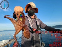 (南)남해조황 - 《맥전포 창조호》금일 문어 조황입니다 낼오전 예약가능~!!