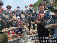 고성 태화피싱)사량도 돌문어 대박 조황~~~