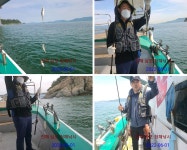 6/1 줄타는 전갱이와 고등어~~내일예약가능