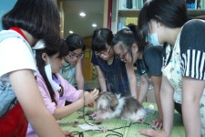 사진앨범- 가좌청소년문화의집