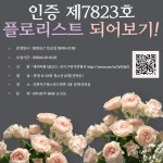 공지사항- 견인보관소