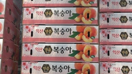 자닮 모바일 사이트, 물비료와 복숭아액비, 미생물, 초생재배만으로 토양관리 충분 물비료와 복숭아액비, 미생물, 초생재배만으로 토양관리 충분
