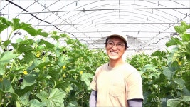 자닮 모바일 사이트, 자닮 10년 차에 이제는 농사가 내 뜻대로 된다는 느낌! 자닮 10년 차에 이제는 농사가 내 뜻대로 된다는 느낌!