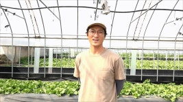 자닮 모바일 사이트, 초생재배와 미생물 관주로 토양 관리, 무경운 농법을 시작하다 초생재배와 미생물 관주로 토양 관리, 무경운 농법을 시작하다
