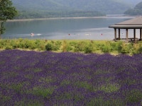 十勝から襟裳、日高へ - じゃらん旅行記