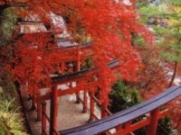 【太皷谷稲成神社　春季大祭】アクセス・イベント情報 - じゃらんnet