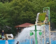 2018년 8월 모습입니다. - 유치자연휴양림 2018년 8월 모습입니다.