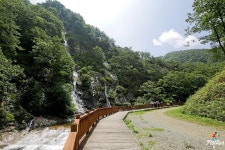 Gabay sa turista > Park/Forest Lodge/Tourist spot > Banghwadong Family Vacation Village, Forest lodge|Opisina ng Jangsu County