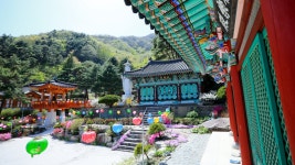 게시물 보기 페이지