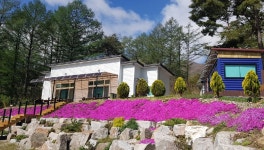 게시물 보기 페이지