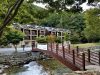 장수군 문화관광 여행도우미 > 포토갤러리