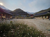 여행도우미 > 포토갤러리 > 신광사 가는 날| 장수여행