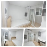 전북대학교 | 유진영