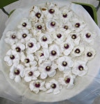 ≪ 함박꽃나무(천녀목란=산목련) 무엇인가?