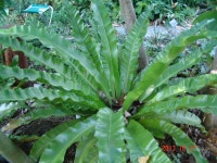 약초관찰여행 기념사진 188부