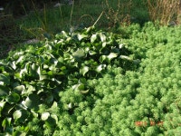 약초관찰여행 기념사진 188부