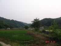 약초관찰여행 기념사진 156부