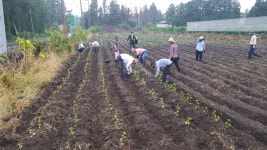 중문동주민자치위원회, 주민자치센터 특화프로그램 운영 - 사이버주민자치센터 중문동주민자치위원회, 주민자치센터 특화프로그램 운영... 