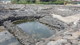 해양공원 - 제주의 마을 성산읍 온평리 해양공원 | 제주특별자치도청