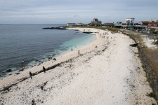 제주 우도 홍조단괴 해빈(濟州 牛島 紅藻團塊 海濱) - 제주특별자치도 제주 우도 홍조단괴 해빈(濟州 牛島 紅藻團塊 海濱) | 제주특별자치도청