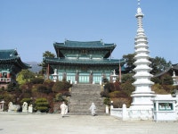 선덕사 대적광전(제8호) - 문화/역사 제주특별자치도