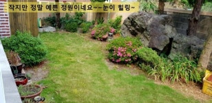 주)다올레부동산중개법인