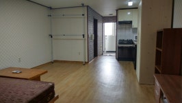 유채꽃공인중개사