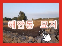 한중공인중개사