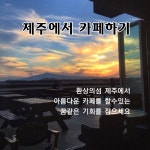 제주LG공인중개사