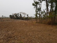 대세공인중개사