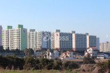 제주유일공인중개사