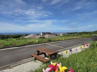 정든제주공인중개사