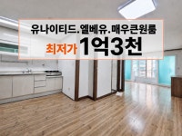 정든제주공인중개사