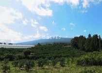 오일장신문닷컴