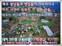 제주고대표공인중개사사무소