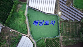 제주고대표공인중개사사무소
